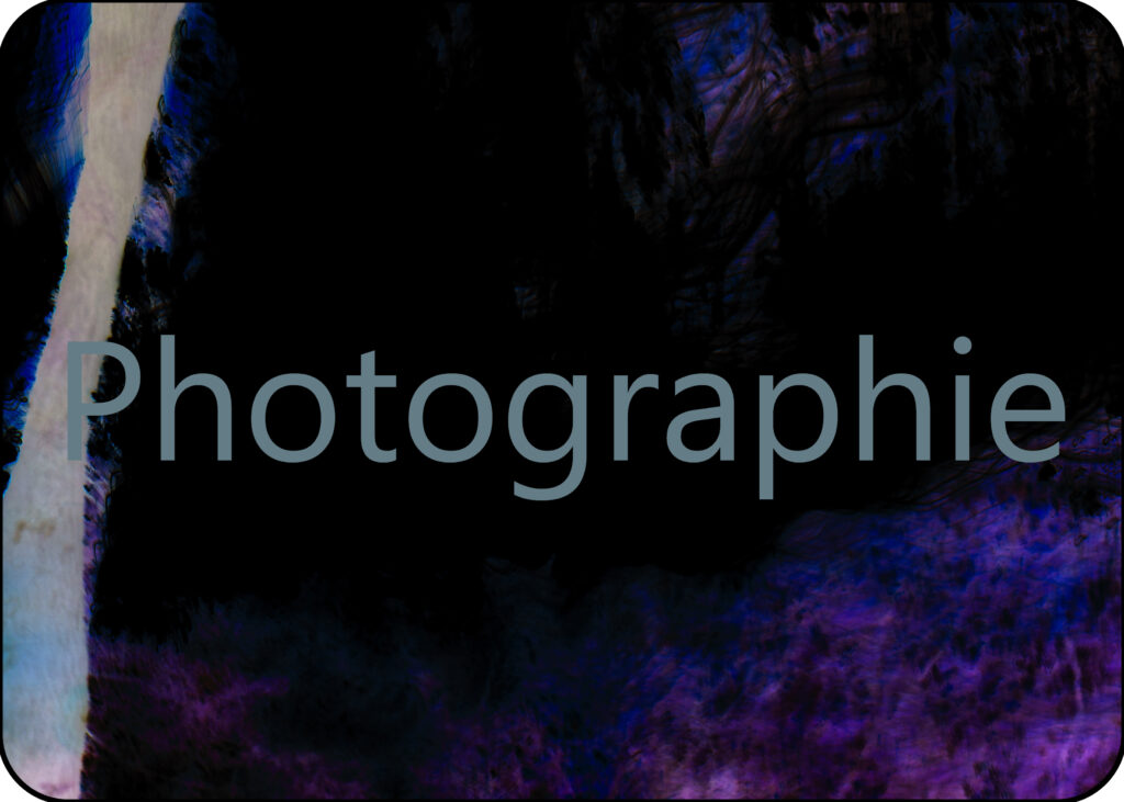 Bouton pour la galerie photo artistique