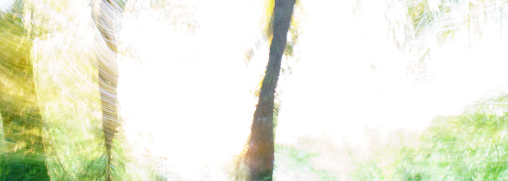 Photo&criture Mark Grillet-00014 Photographie en longue exposition et surexposition de la nature à contre-jour - Mark Grillet