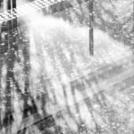 S001-Angers, crue historique 2026 - 7